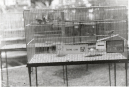 Výstava - botanická zahrada Liberec