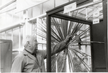 Výstava - botanická zahrada Liberec