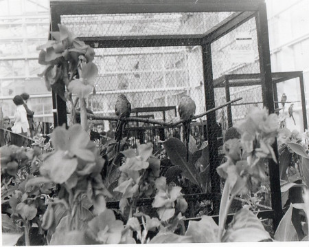 Výstava - botanická zahrada Liberec