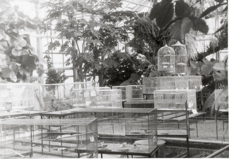 Výstava - botanická zahrada Liberec