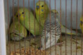 /album/burza-21-3-2026/10-jpg5/