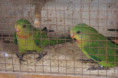 /album/burza-20-6-2026/01-jpg6/